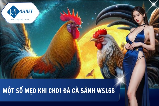 Mẹo cực hay
