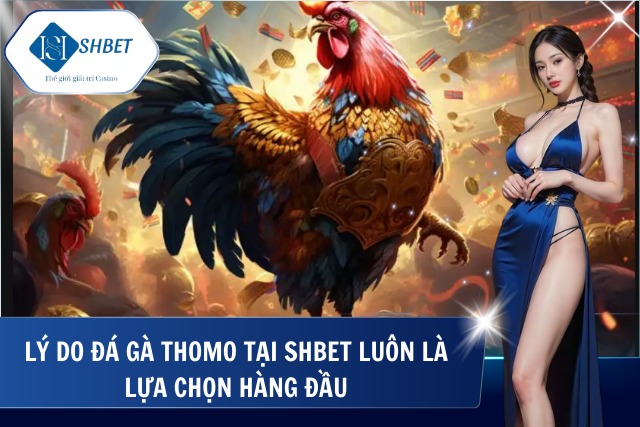 Đá Gà Thomo - Trải Nghiệm Những Trận Đấu Máu Lửa Đỉnh Cao Ưu điểm đá gà tại SHBet