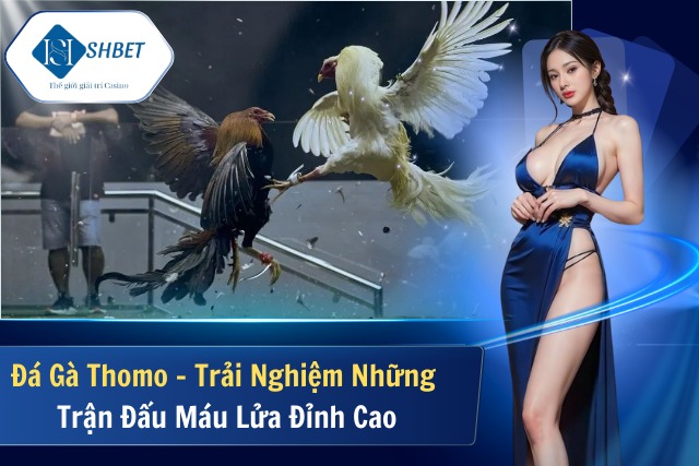 Đá Gà Thomo